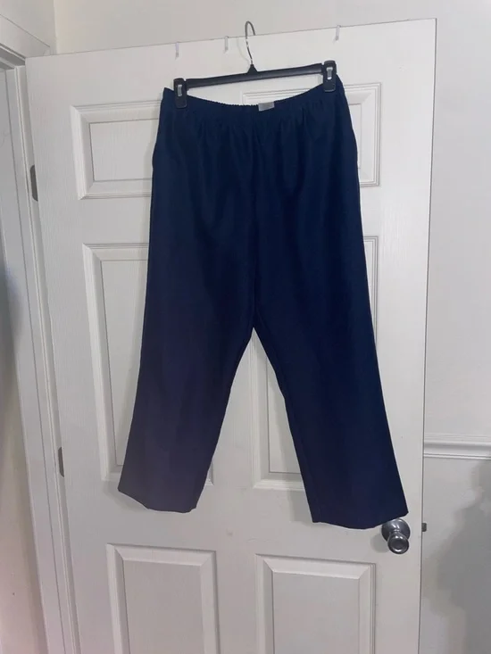 Alfred Dunner 3 Pair Straight-Leg Pants - Navy, Brown & Black 16P - Picture 2 of 8